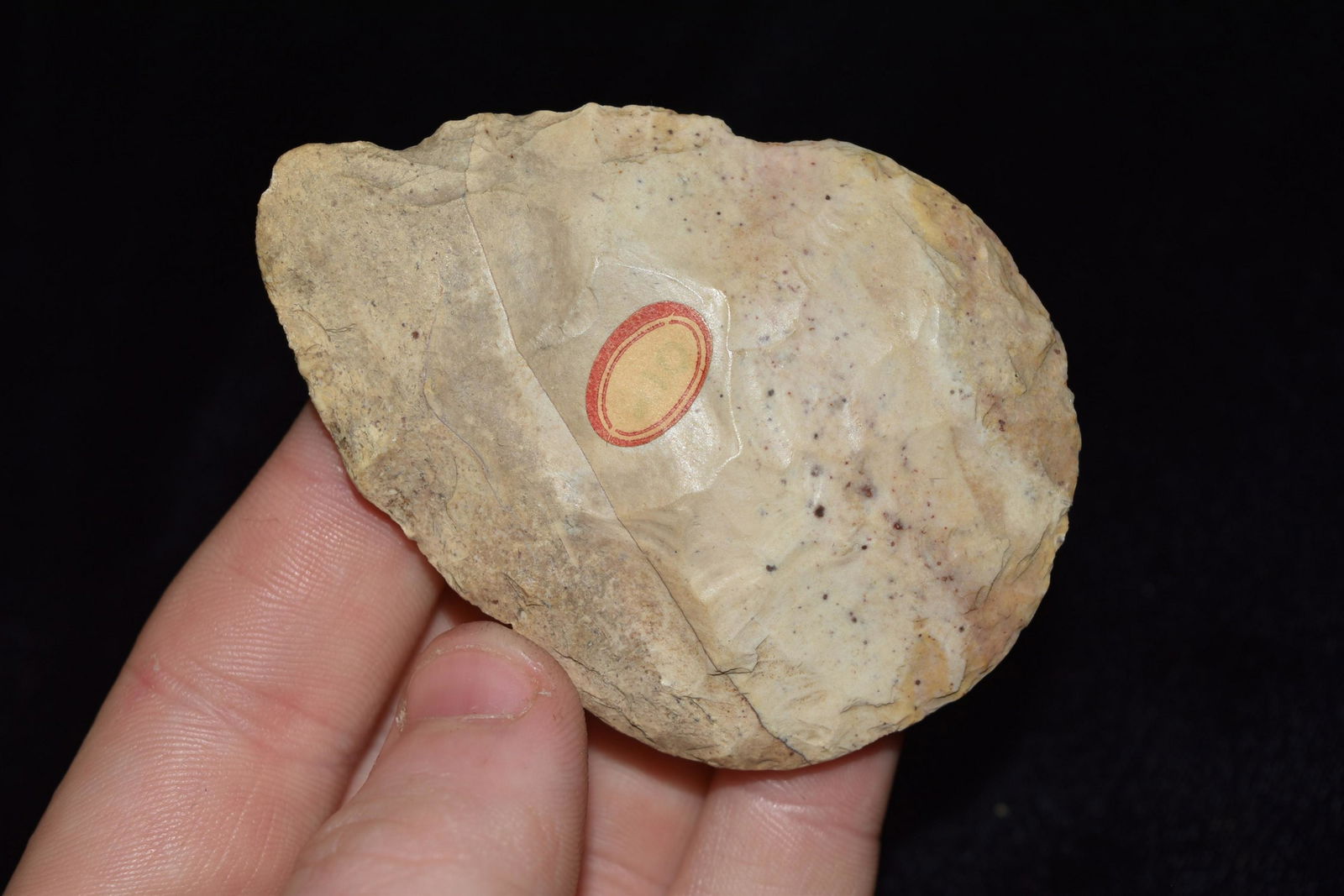 2 7/8" Burlington North Blade, Adams Co., IL, From the (1 of 4)