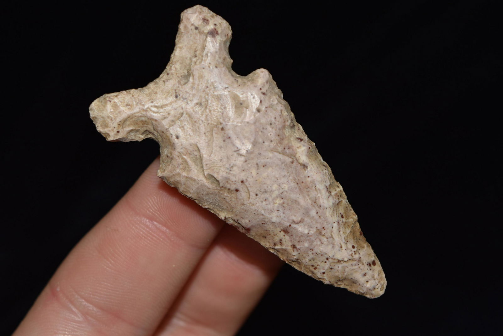 2 1/4" Burlington Osceola, Found by Brandon Devore from (1 of 4)