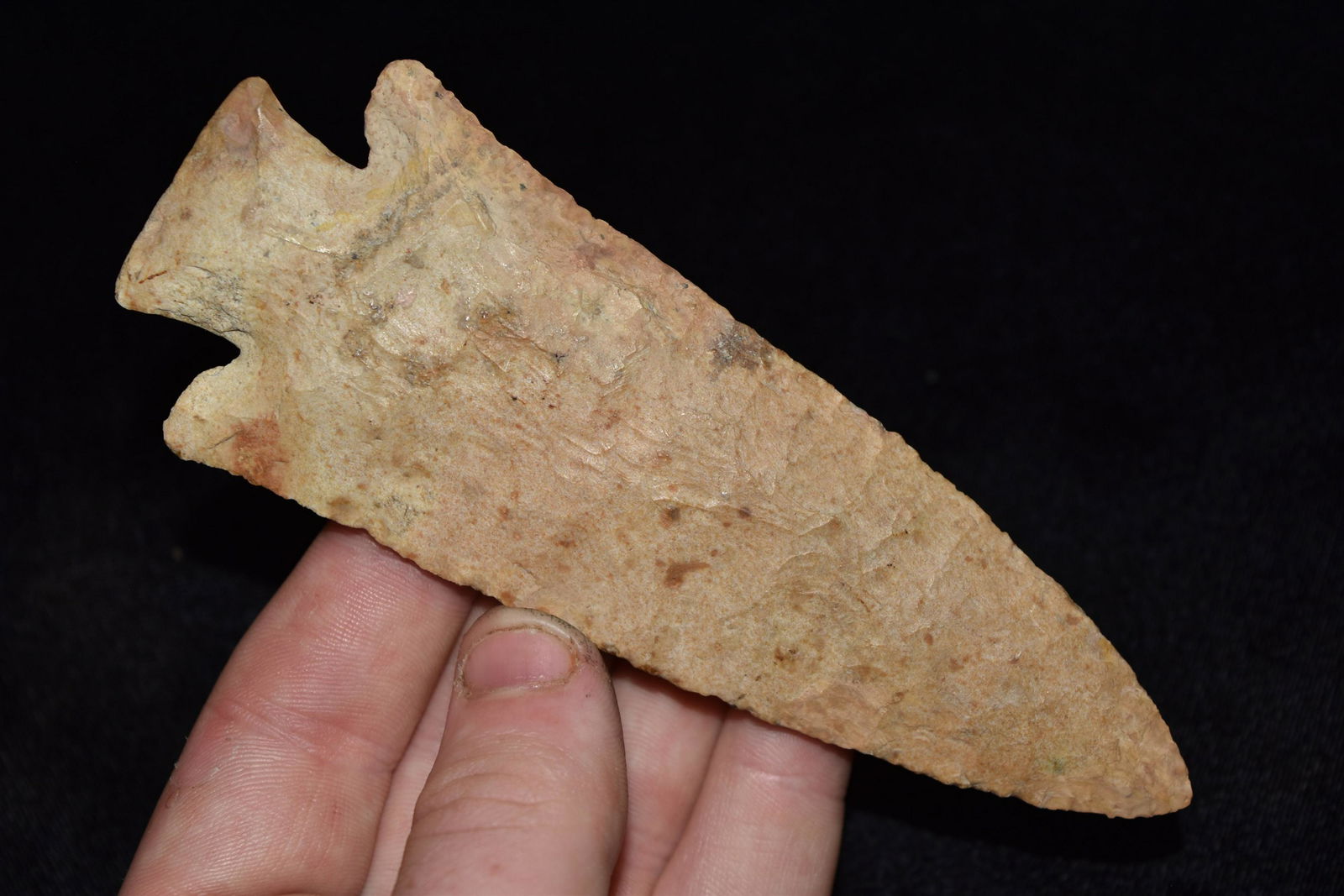 5" Restored Hardin Ex. Ryan Perry Collection (1 of 6)