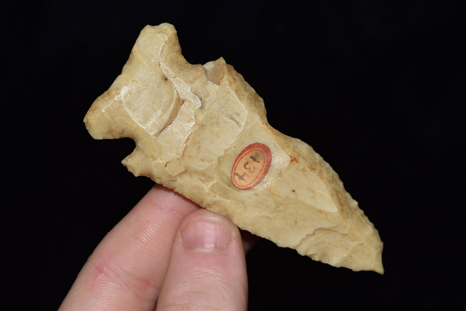 3 3/8" Burlington Thebes, Adams Co., IL, From the (1 of 4)