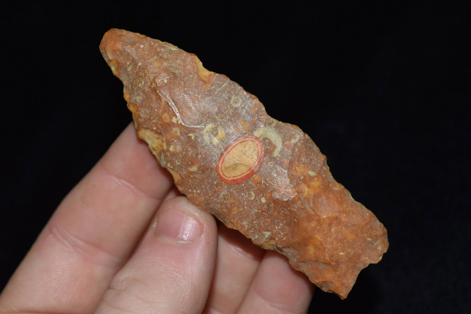 3 1/8" Burlington River Patinaed and Tumbled Nebo Hill,: 3 1/8" Burlington River Patinaed and Tumbled Nebo Hill, Adams Co., IL, From the Collection of Pat and Len Griffen, Adams Co IL. They studied under and collected with Dr. Reed of Quincy, IL in the 1960