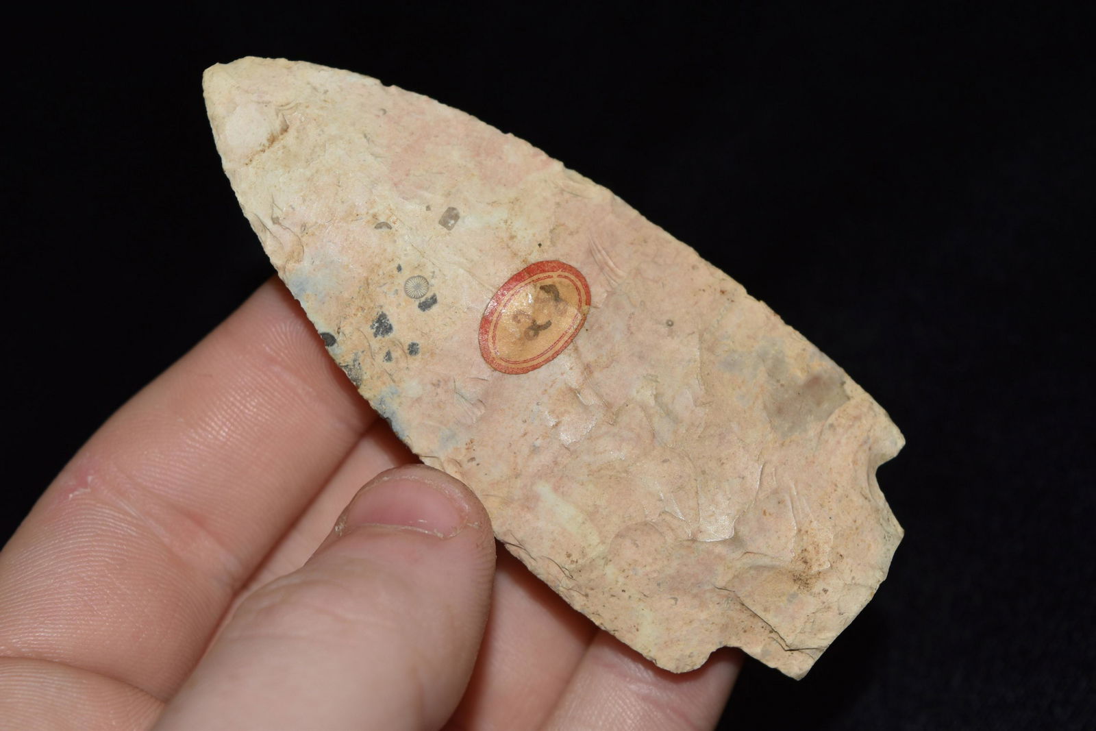 3 1/4" Burlington Adena Waubesa, Haft Damage, Adams (1 of 4)