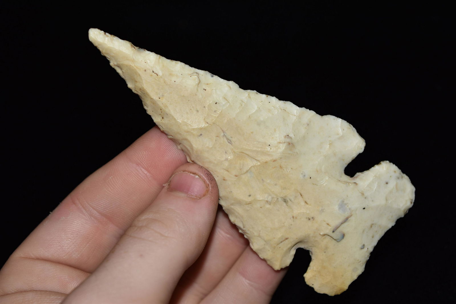 4 1/8" Thebes, Dickey COA, Pike CO IL Burlington, (1 of 6)