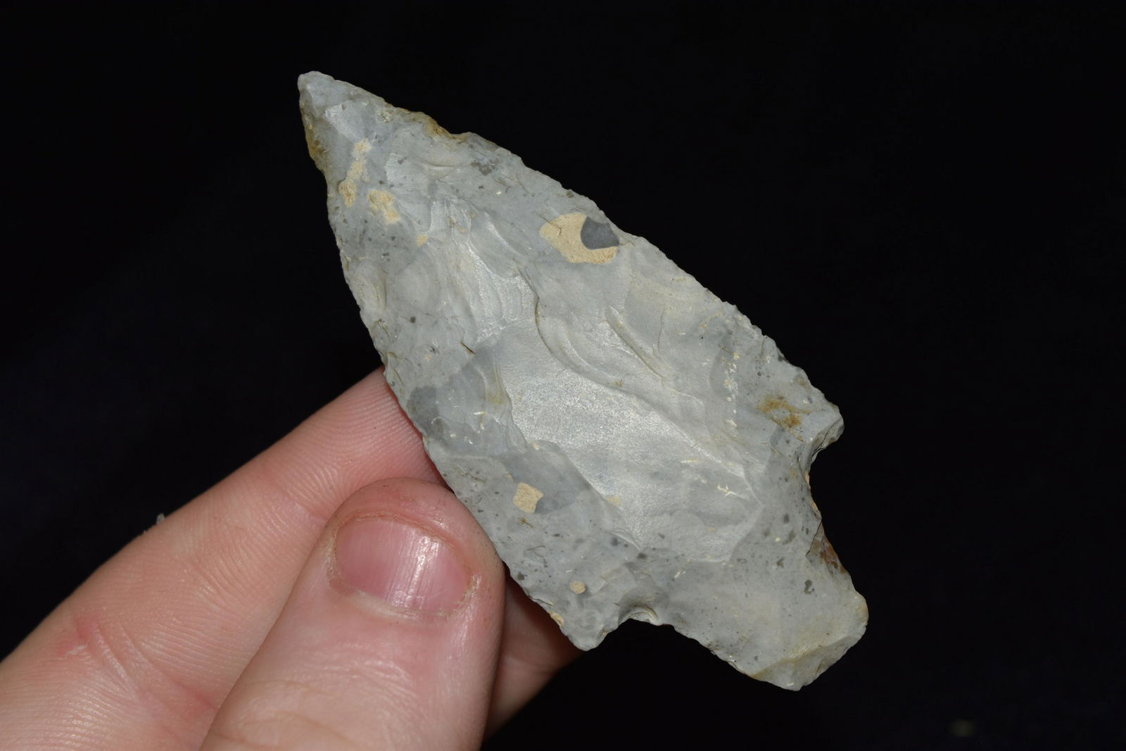 2 3/4" Chouteau Gary, Pettis Co., IL Ex George Wolfe: 2 3/4" Chouteau Gary, Pettis Co., IL Ex George Wolfe Collection