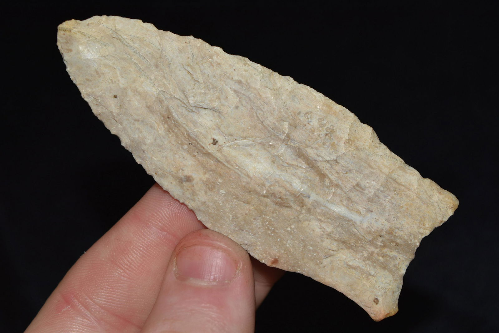 3 3/8" Holland Dalton, Found By Harold Steinkuhler, (1 of 4)