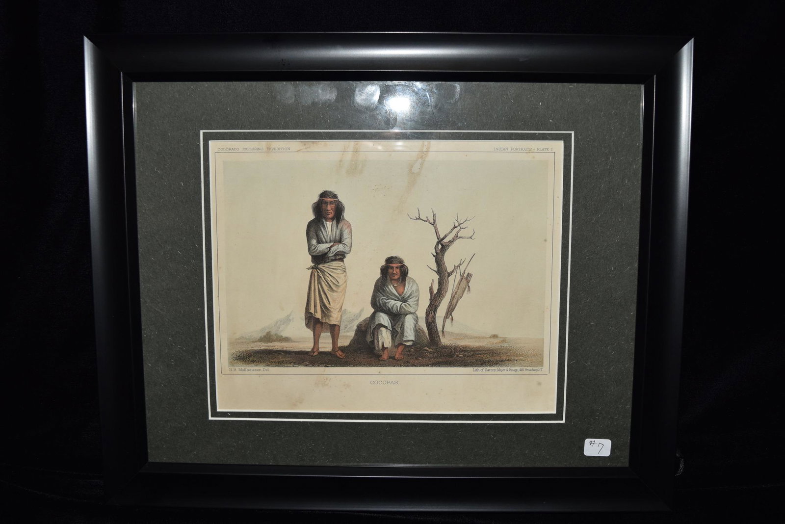 Original Hand Colored Lithograph Baldain Molhausen 1861 (1 of 4)