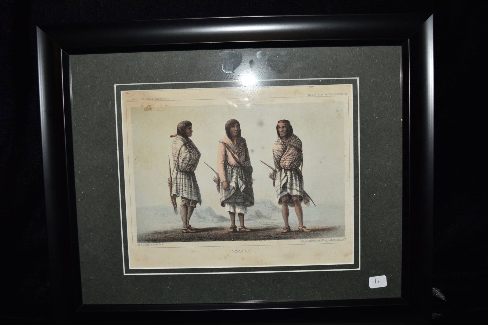 Original Hand Colored Lithograph Baldain Molhausen 1861 (1 of 4)