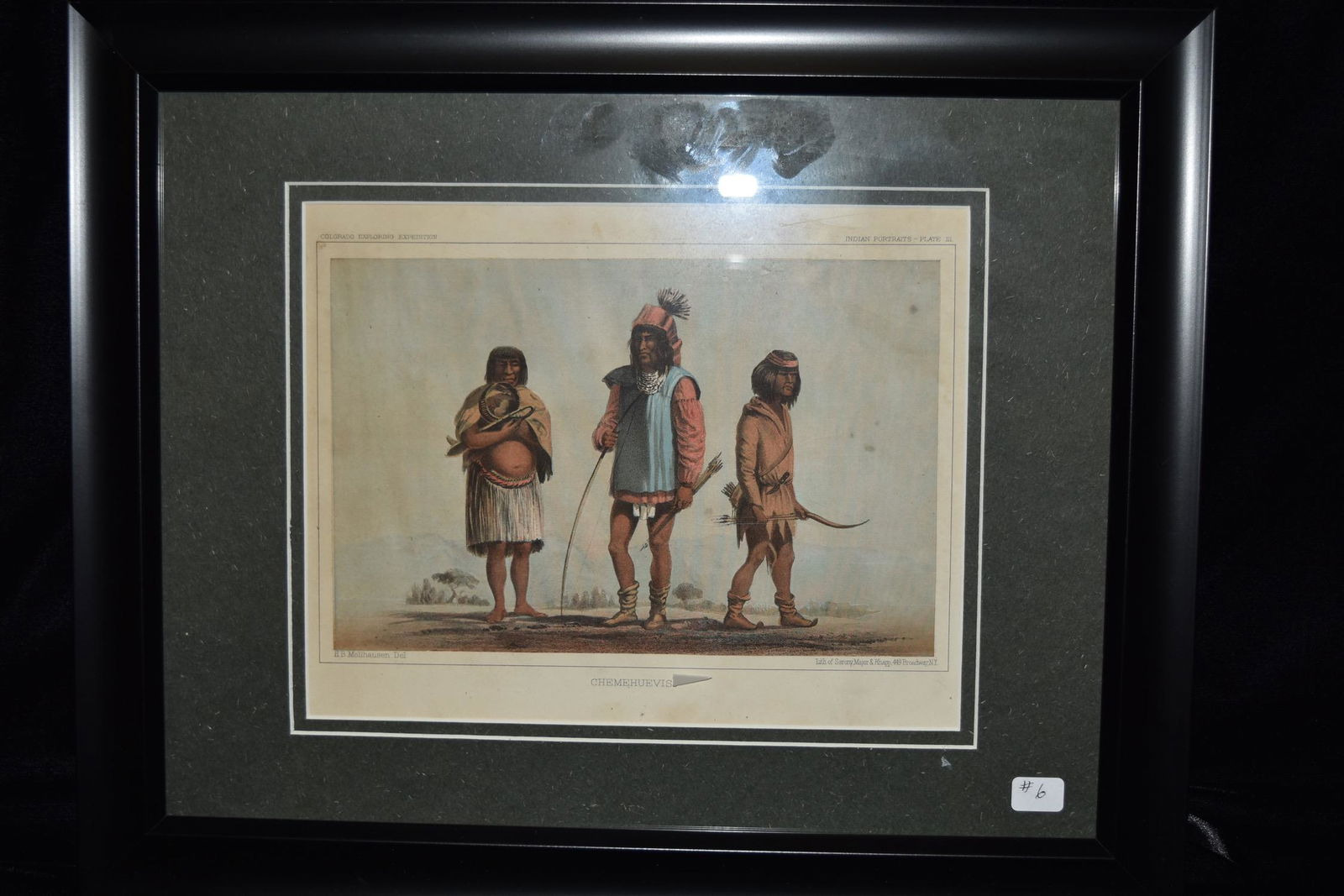 Original Hand Colored Lithograph Baldain Molhausen 1861 (1 of 4)