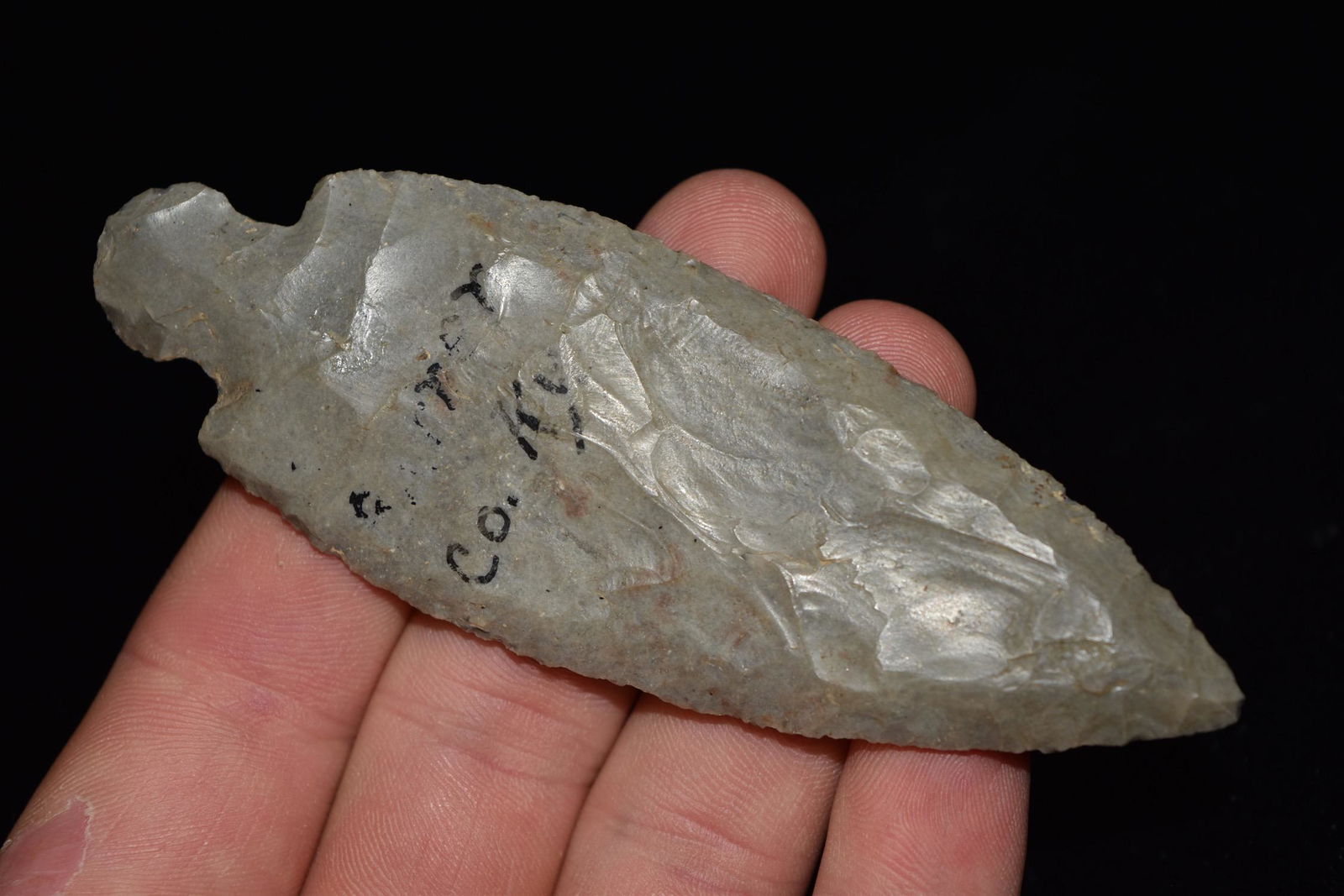 4 1/4" Turkey Tail, Barren Co KY, Ex Donnie Austin (1 of 5)