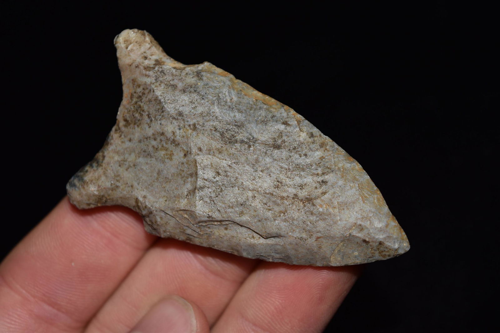 2 3/4" Dalton, KY, Ex Donnie Austin Collection (1 of 5)