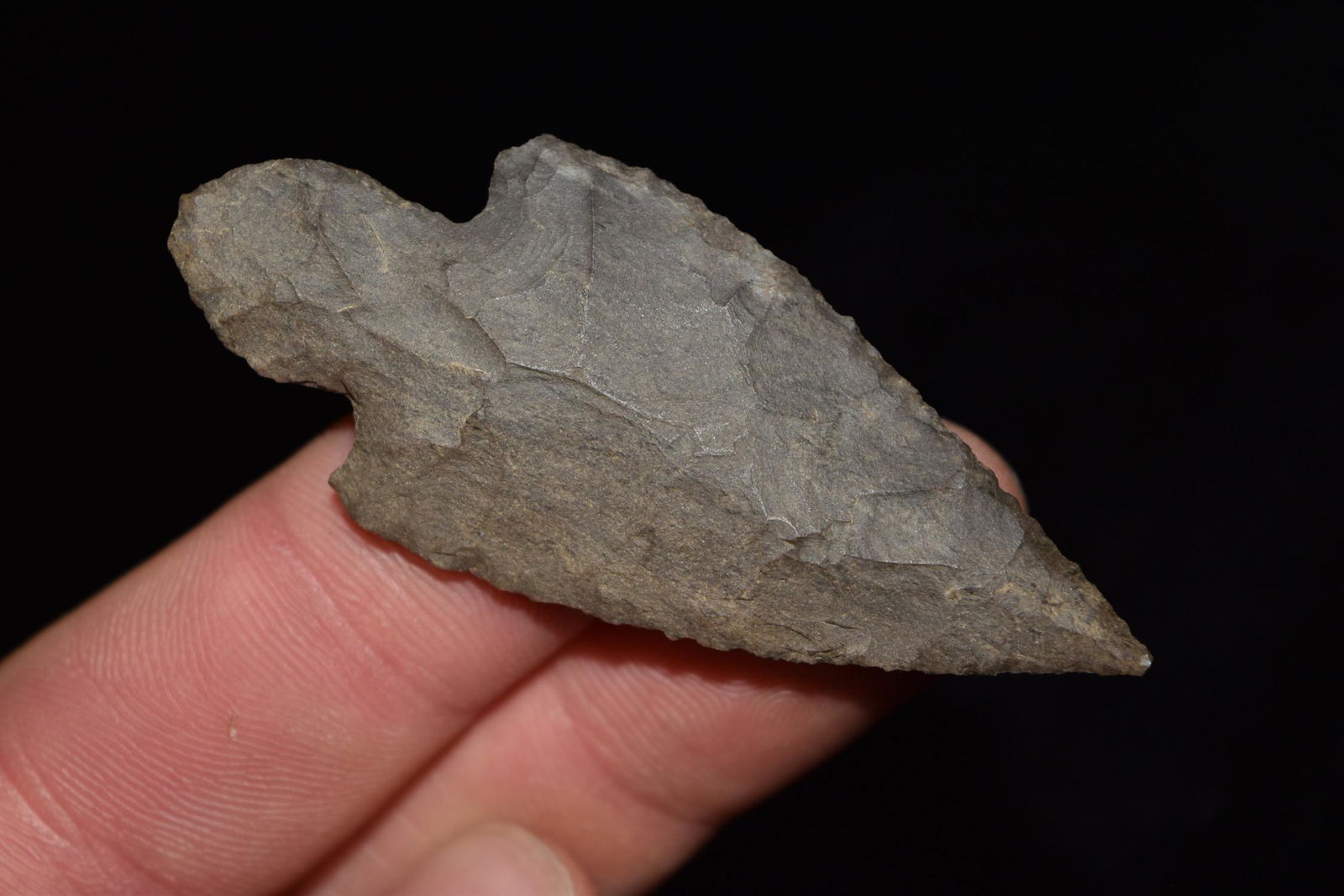 2 5/8" Turkey Tail, Benton Co TN, Ex Donnie Austin (1 of 5)