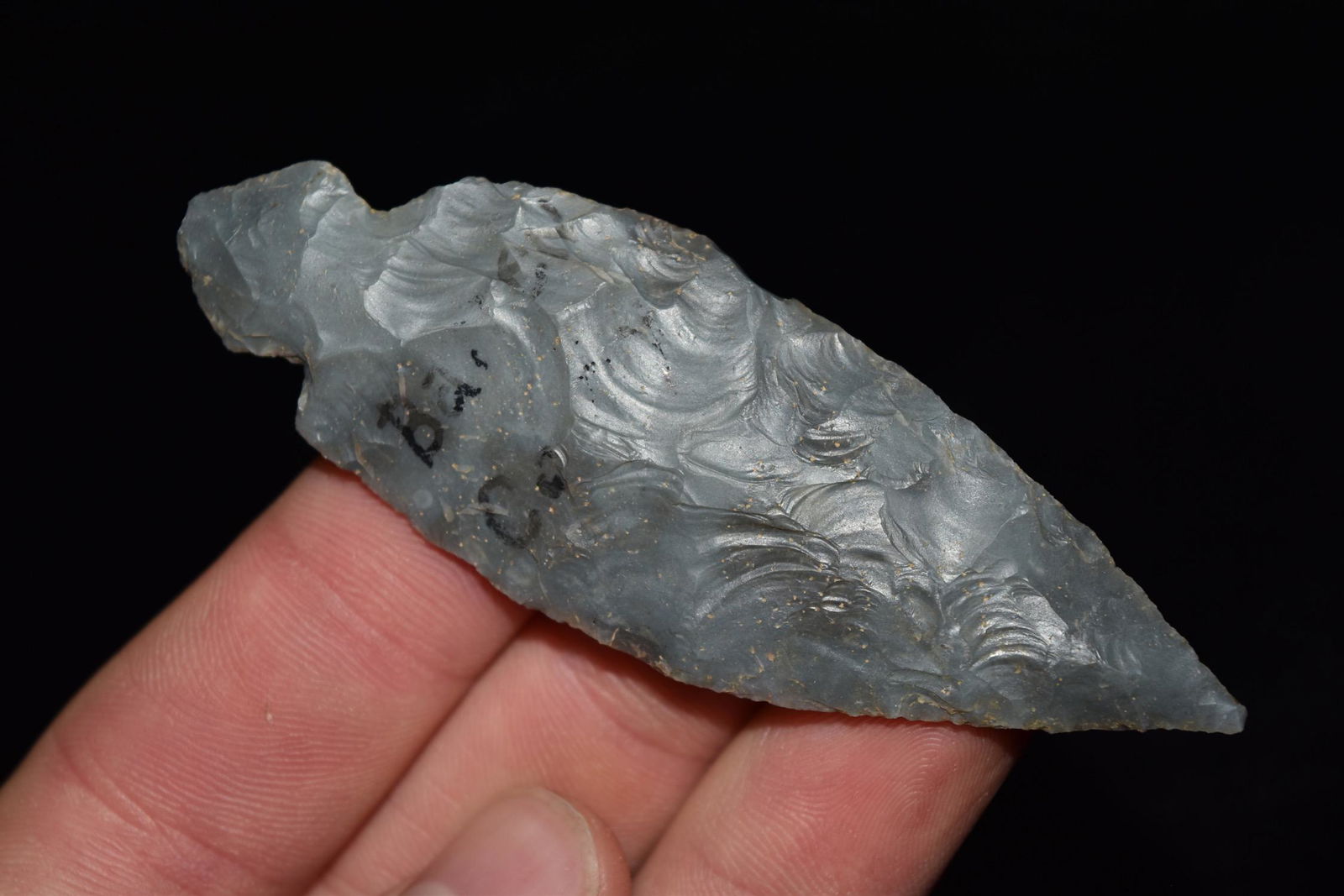 3 3/8" Turkey Tail, Barren Co KY. Ex Donnie Austin (1 of 5)