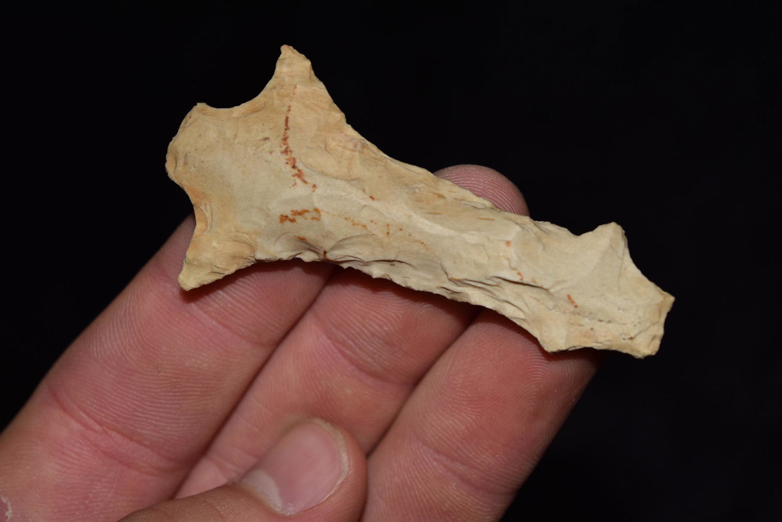 2 11/16" Flint Lizard, Unpolished, Howell Co MO, Ex (1 of 6)