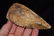 4 7/8" Flint Saw, New Mexico, Ex Donnie Austin - 2