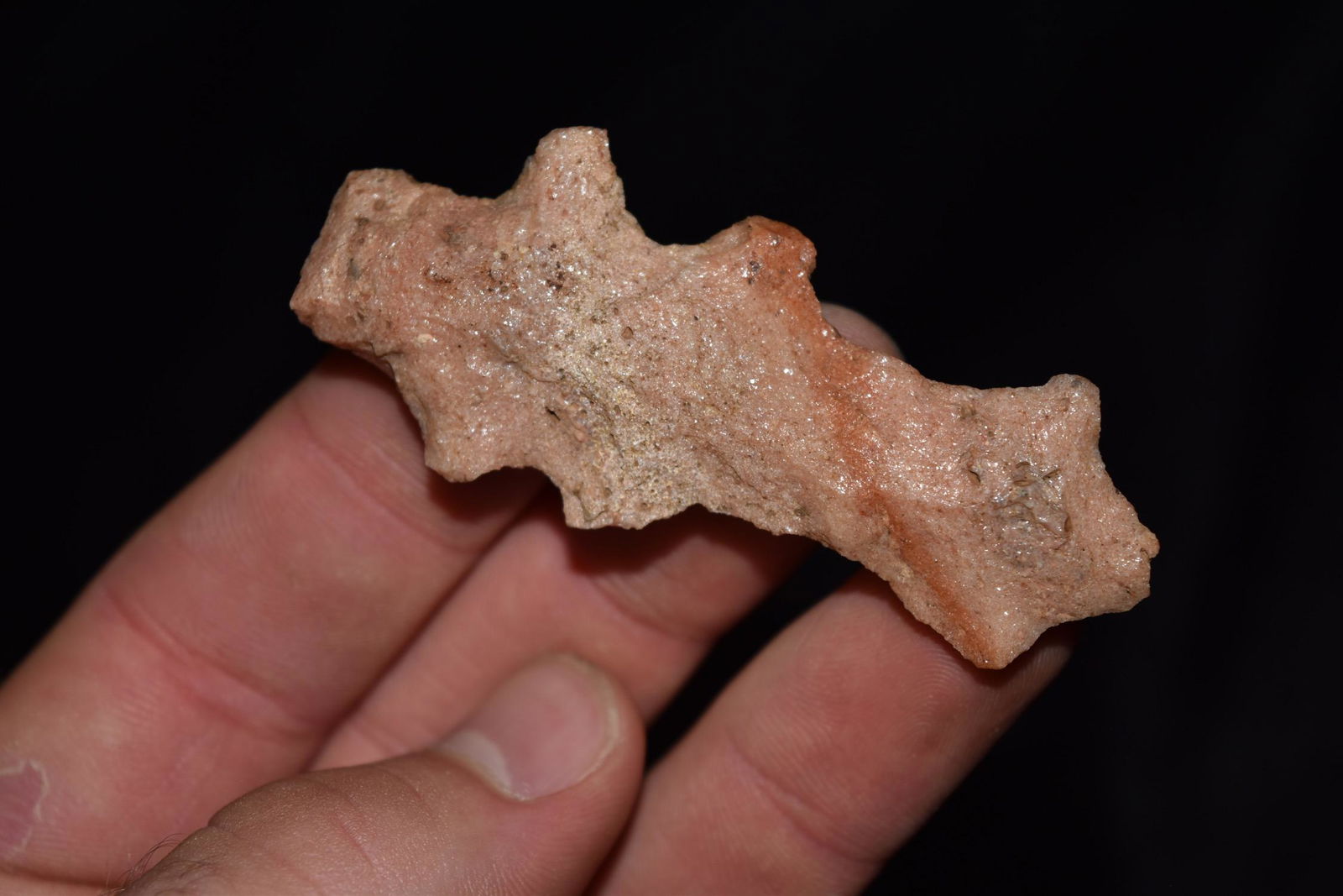 2 3/4" Flint Lizard, Quartz, Boone CO MO, Ex Donnie (1 of 6)