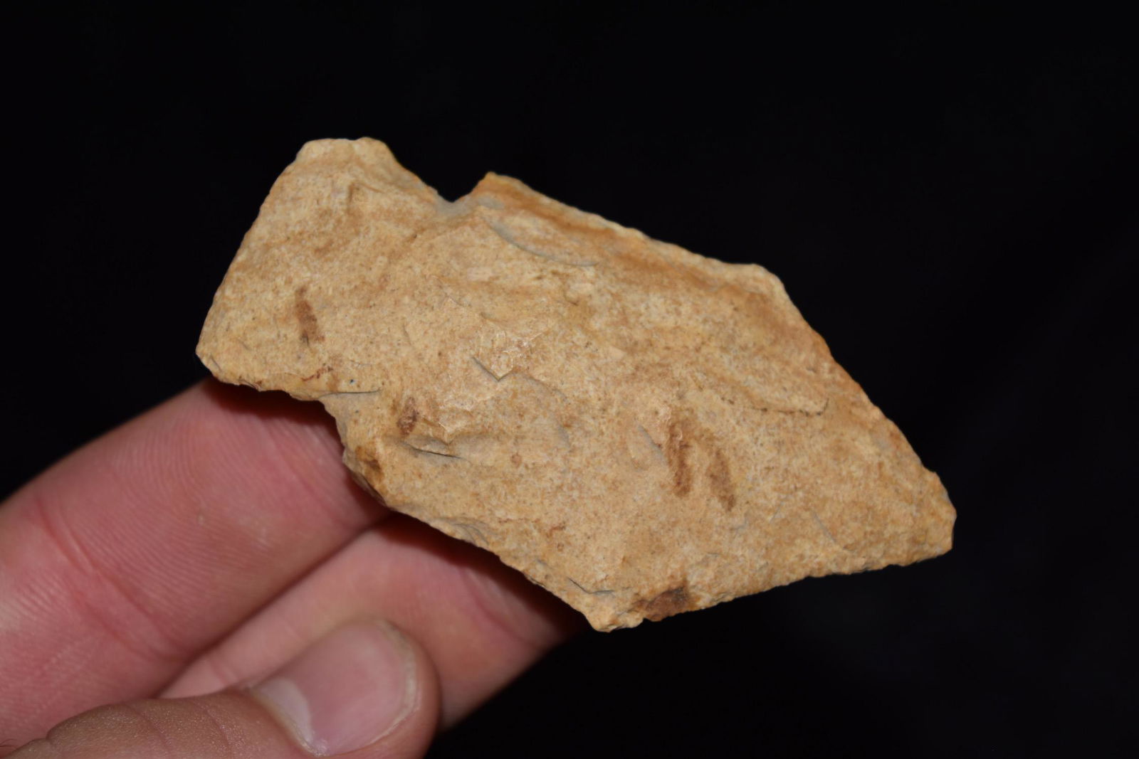 2 3/4" Etley, Missouri, Ex Donnie Austin Collection (1 of 5)