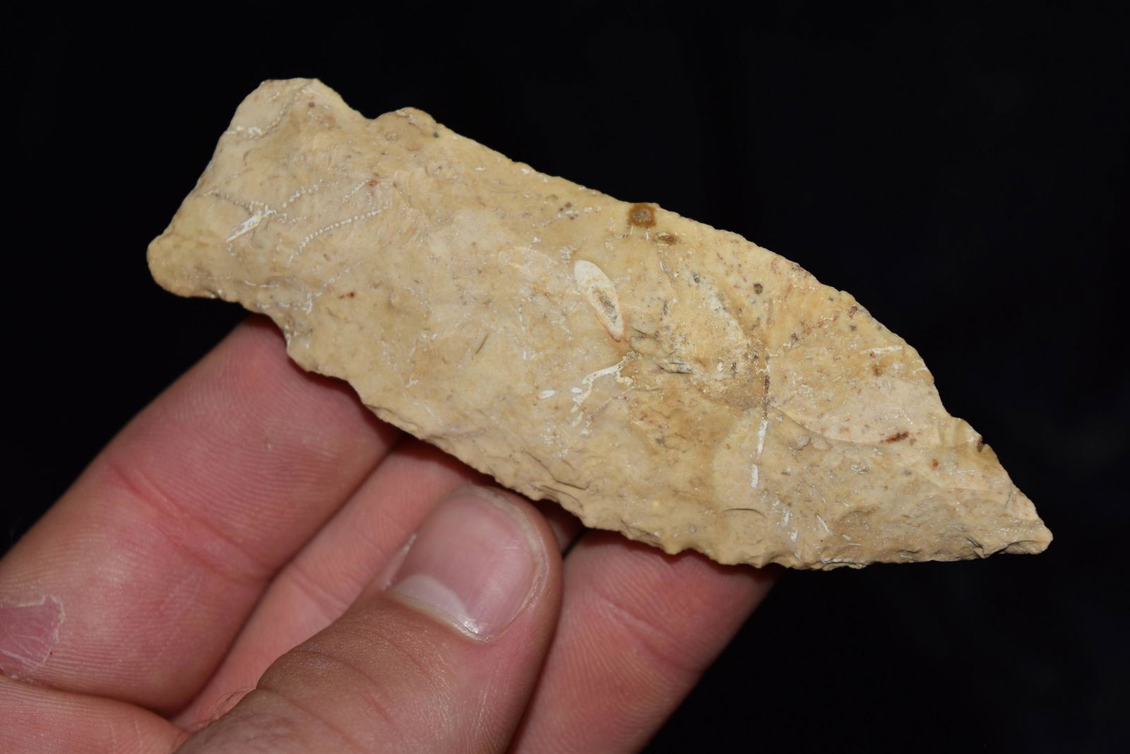 3 3/4" Etley, Missouri, Ex Donnie Austin Collection (1 of 5)