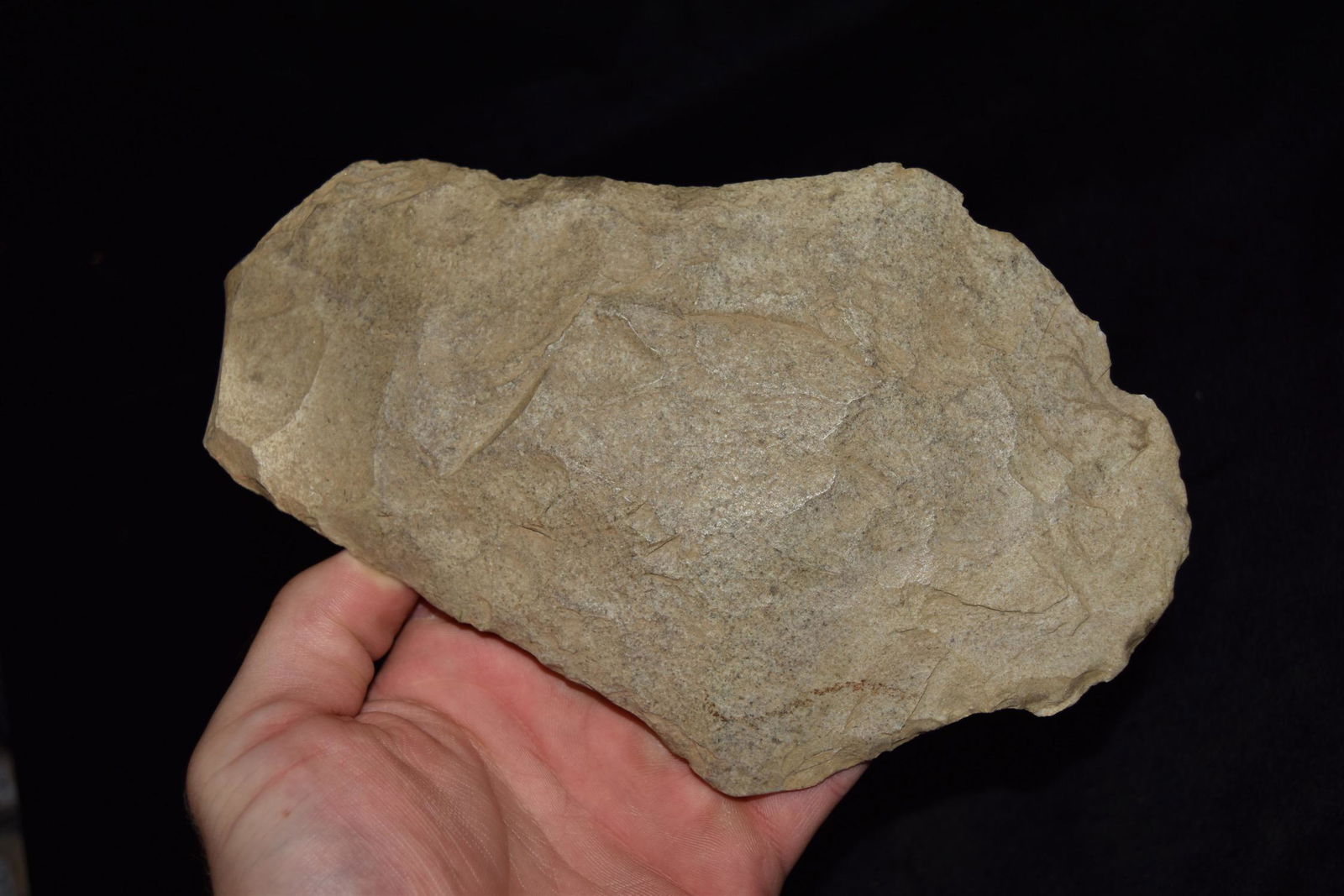 8 1/4" Spade, Southeast Missouri, Mill Creek, Ex Donnie (1 of 6)