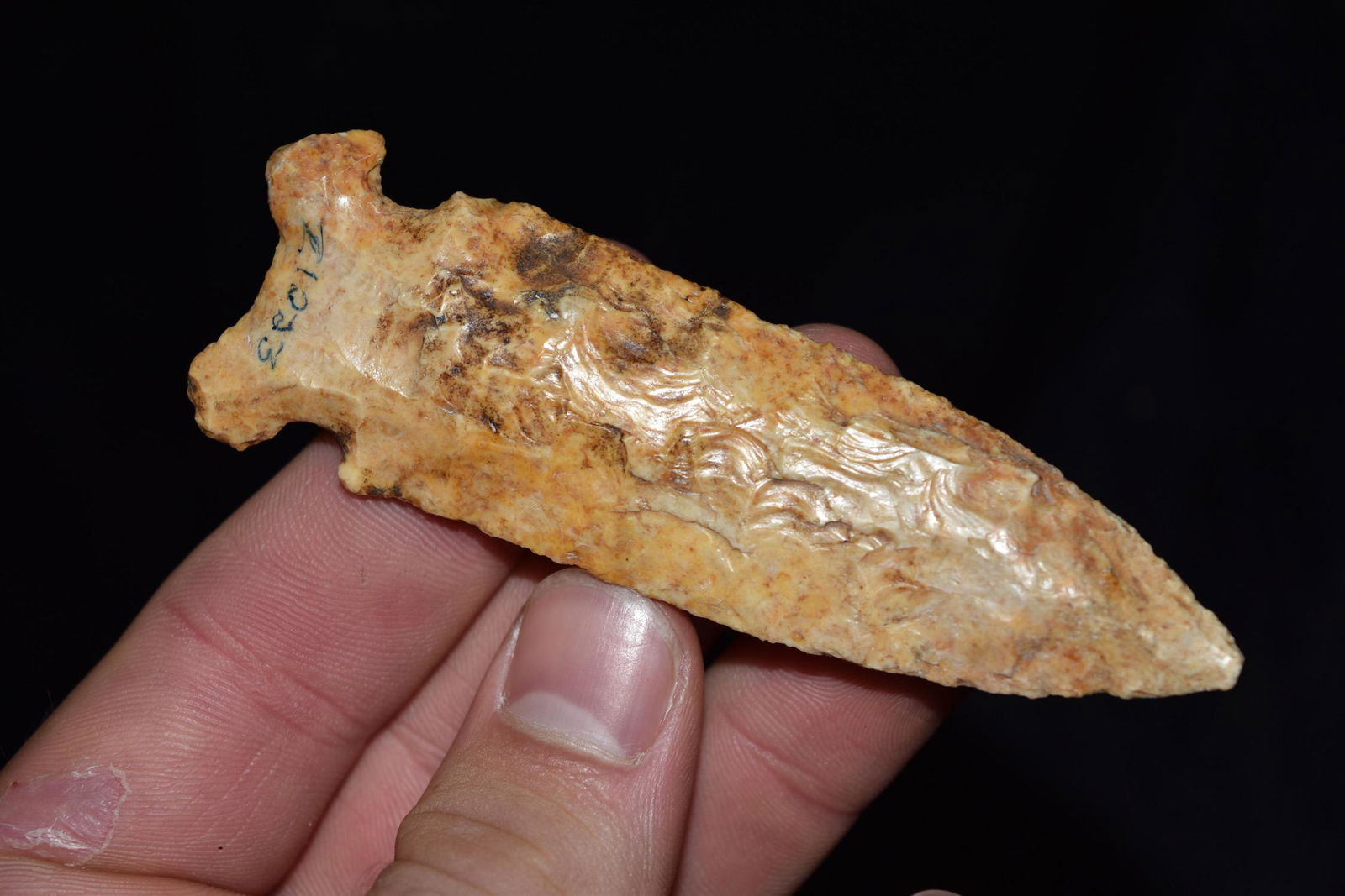 3 3/4" Graham Cave Dickey COA, Found by Jim Bruce in (1 of 6)