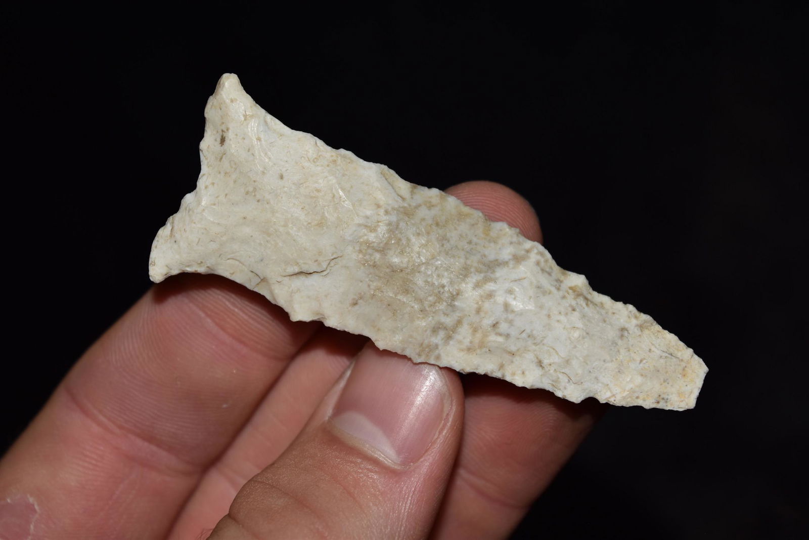 2 7/8" Dalton, Hancock Co IL, Ex Damon (1 of 5)