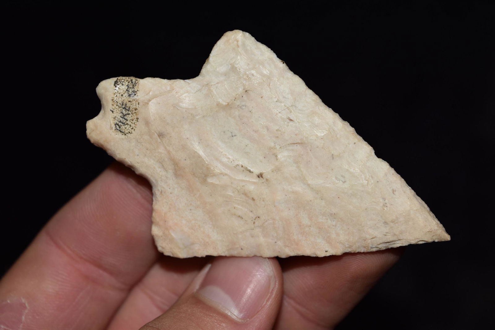 3" Dickson, Pike Co IL, Ex Damon (1 of 5)