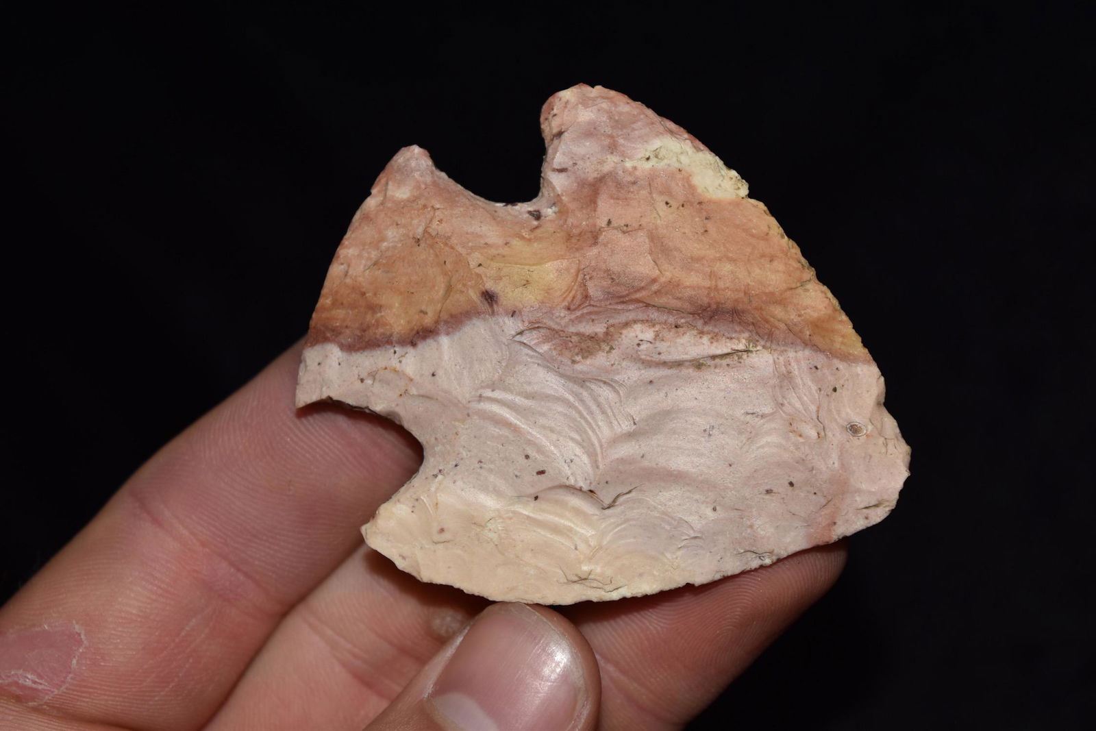 2 1/2" Snyders, Motley COA, Super Colors, Pettis Co MO (1 of 6)