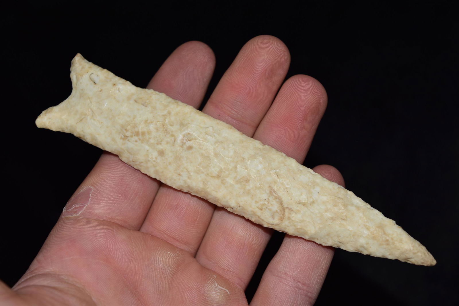 5 1/2" Holland Dalton, Motley COA, Ex Townsend, Pike CO (1 of 6)