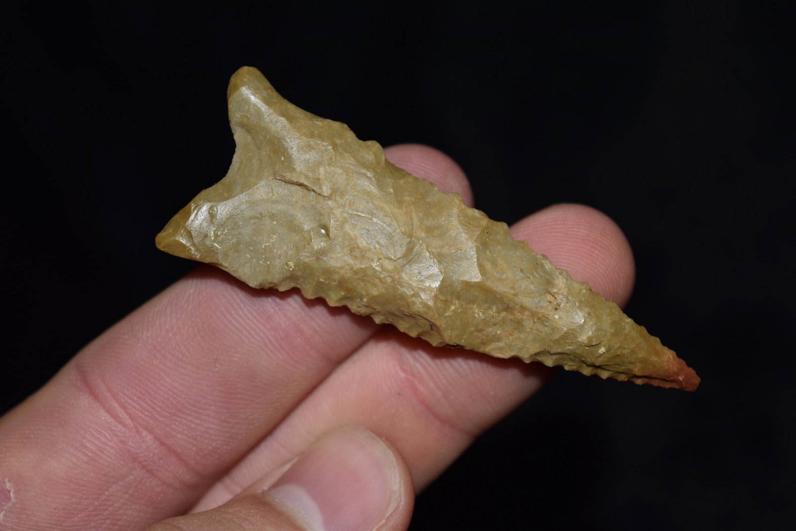 2 5/8" Saw Tooth Dalton, Dual COA (Rogers & Partian),: 2 5/8" Saw Tooth Dalton, Dual COA (Rogers & Partian), Clay CO ARK