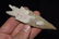 4 1/8" Pedernales, Rogers COA, Blanco TX