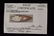 4 1/8" Pedernales, Rogers COA, Blanco TX - 5