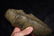 8 1/8" 3/4 Groove Trophy Axe, Motley COA, Found in - 7