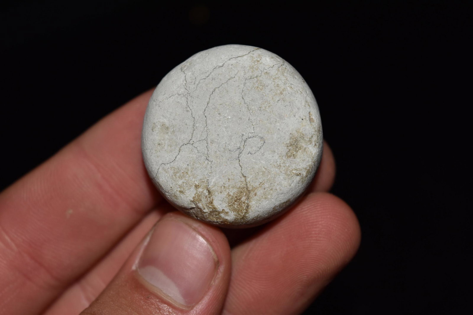 1 1/4" Limestone Discoidal, Lee CO Ark: 1 1/4" Limestone Discoidal, Lee CO Ark