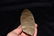 13 3/8" Mayan Pre Columbian Blade, Belize, Ex D Walley - 6