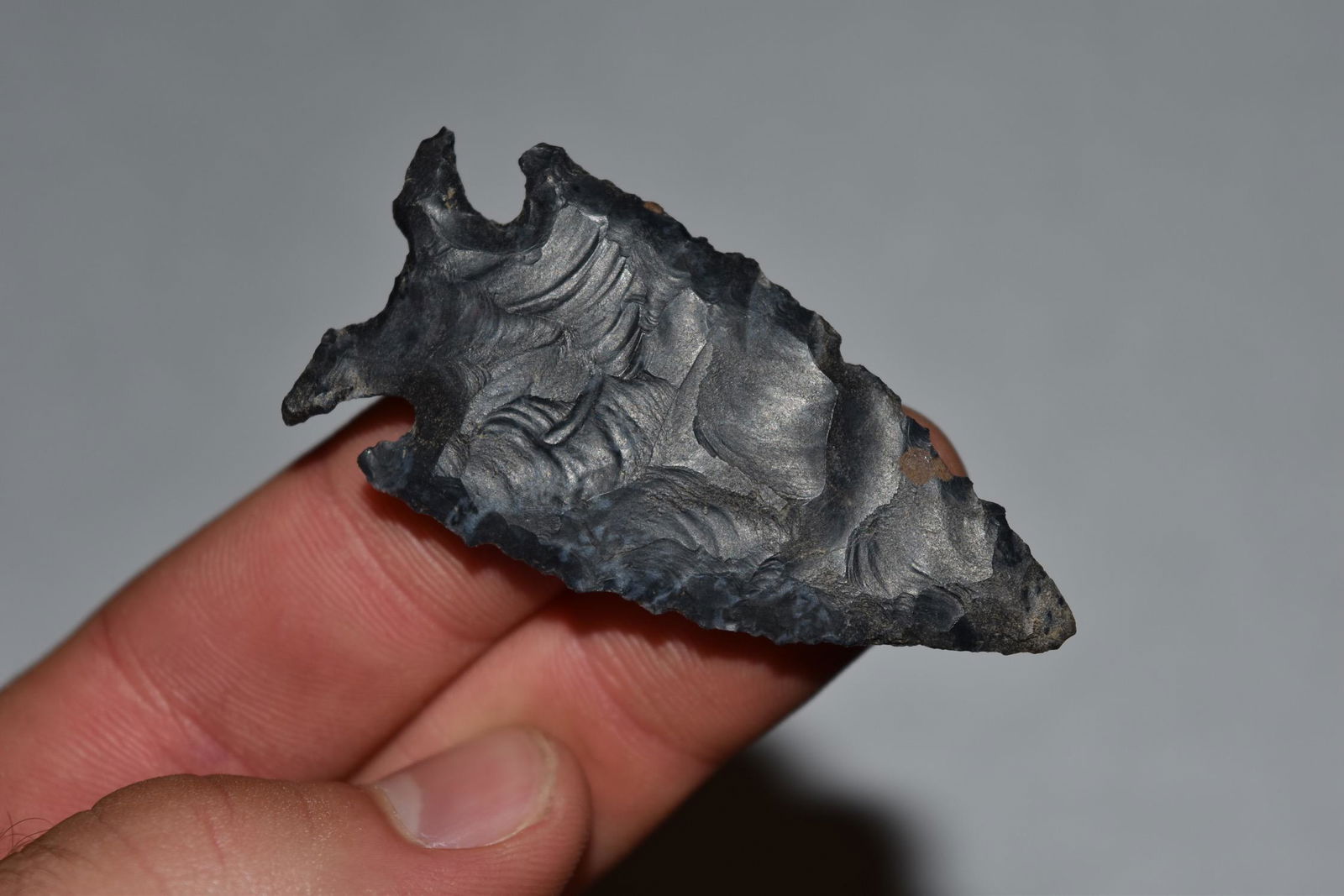 2 3/8" Jacks Reef, Ohio (1 of 7)