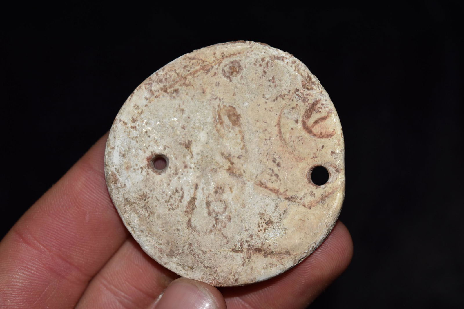 2 1/4" Shell Gorget, Ex BW Stephens, SH-14, Great (1 of 6)