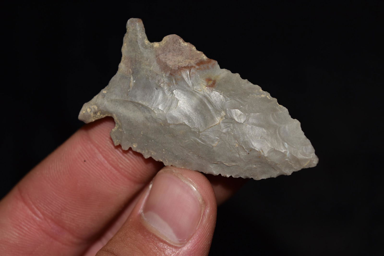 2 1/8" Pine Tree, Serrated, Central KY, Ex Lewis (1 of 8)