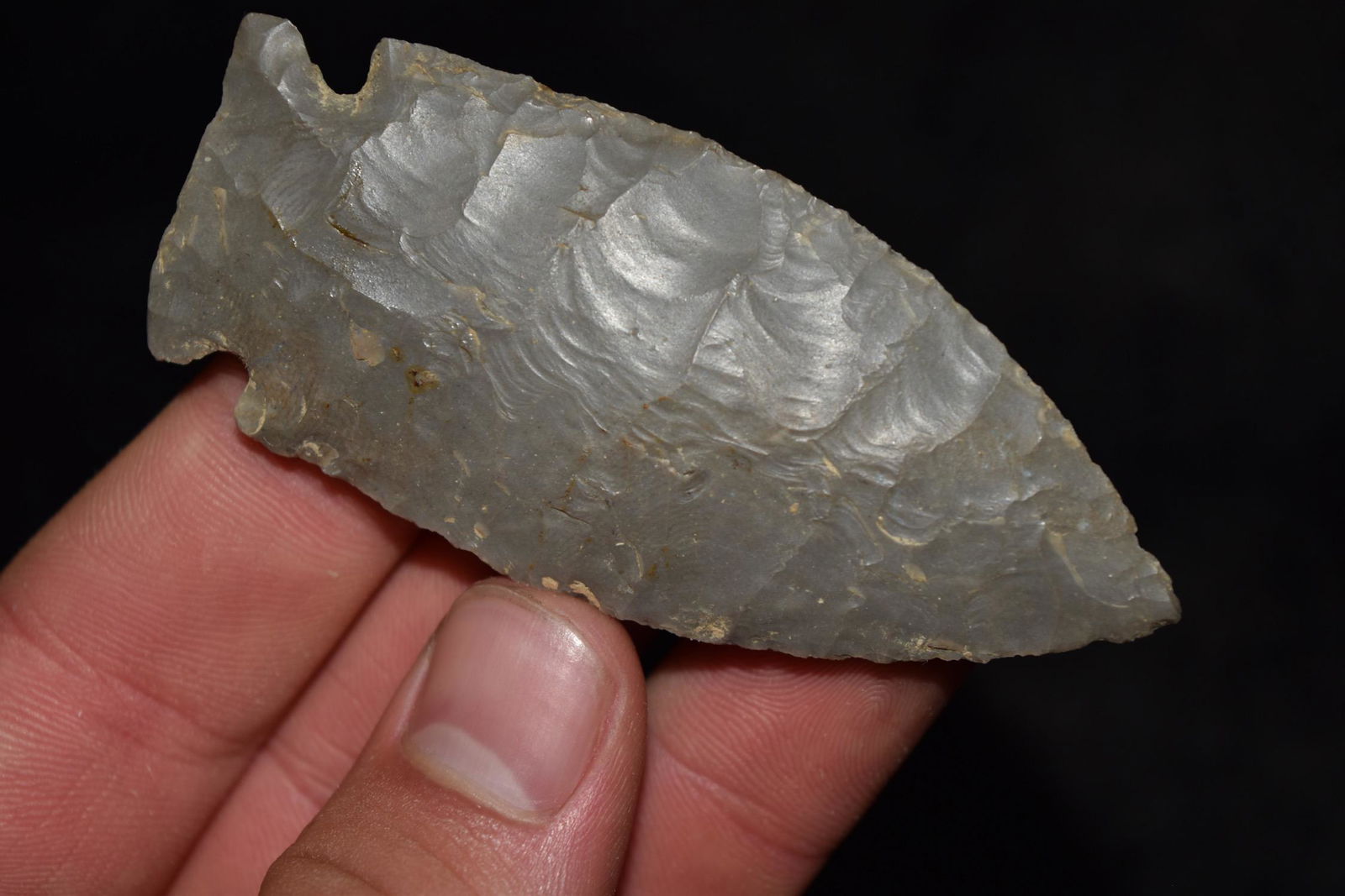 3 1/8" Stillwell, Central KY, Ex Lewis (1 of 7)