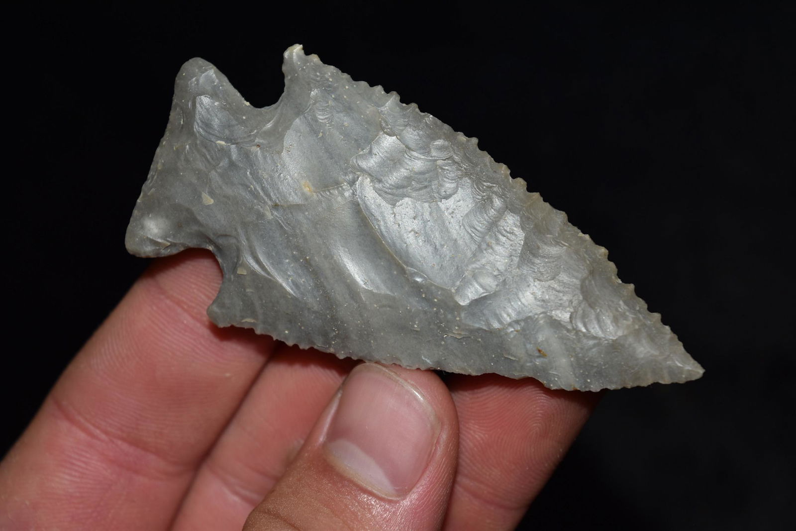 3" Heavily Serrated Stillwell, Central KY, Ex Lewis (1 of 8)