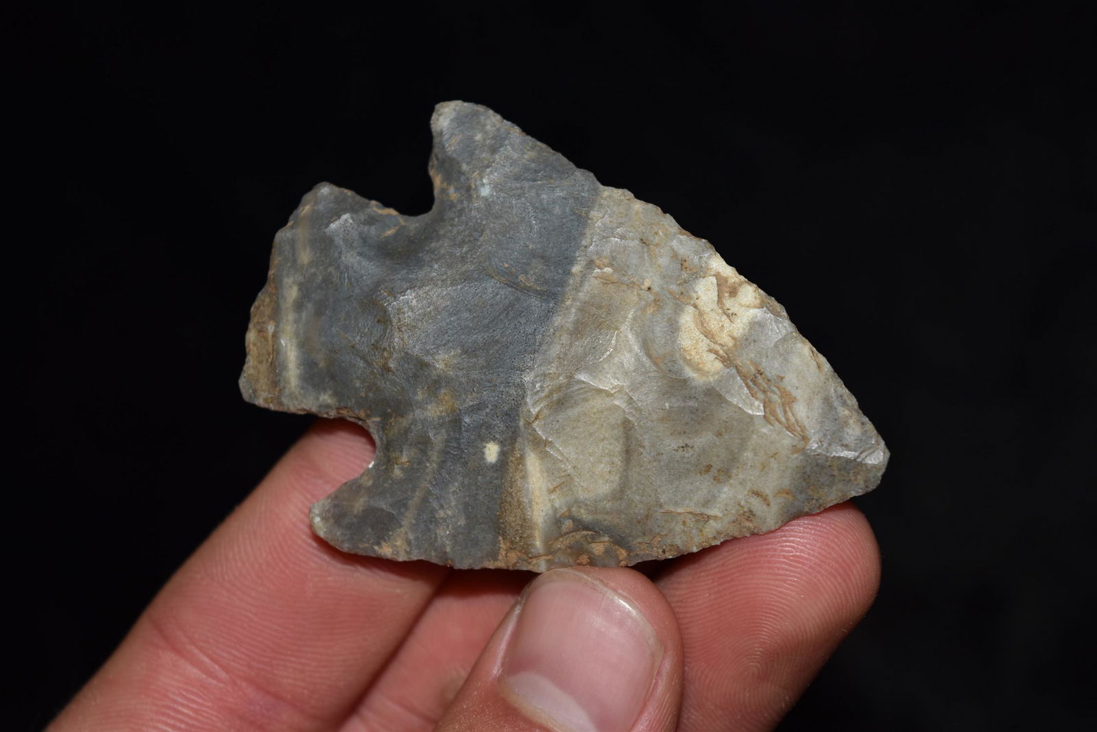 2 1/2" Hopewell Snyders, Central KY, Ex Lewis (1 of 6)