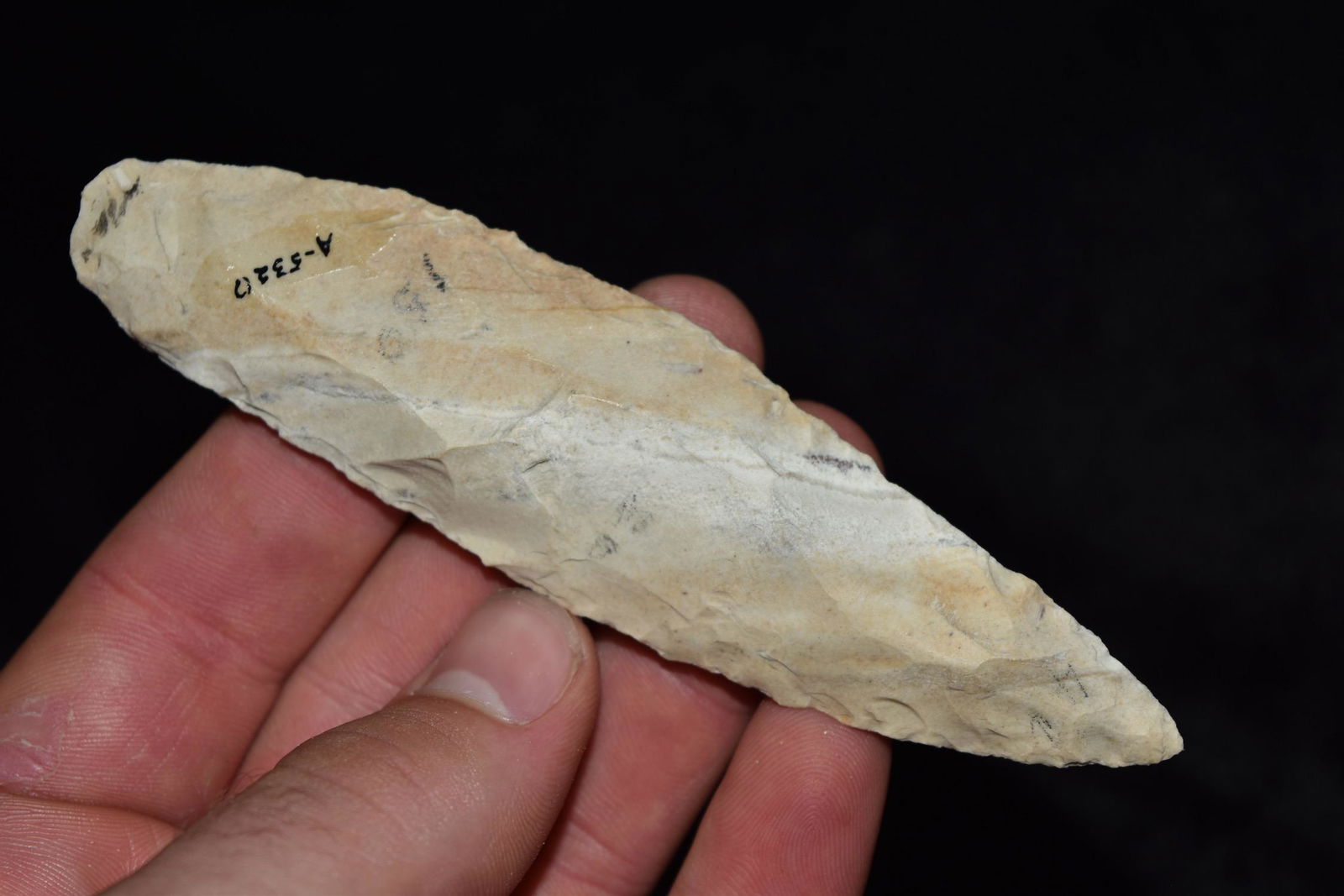 4 3/4" Sedalis,  Central Missouri, Deconsessioned from (1 of 5)