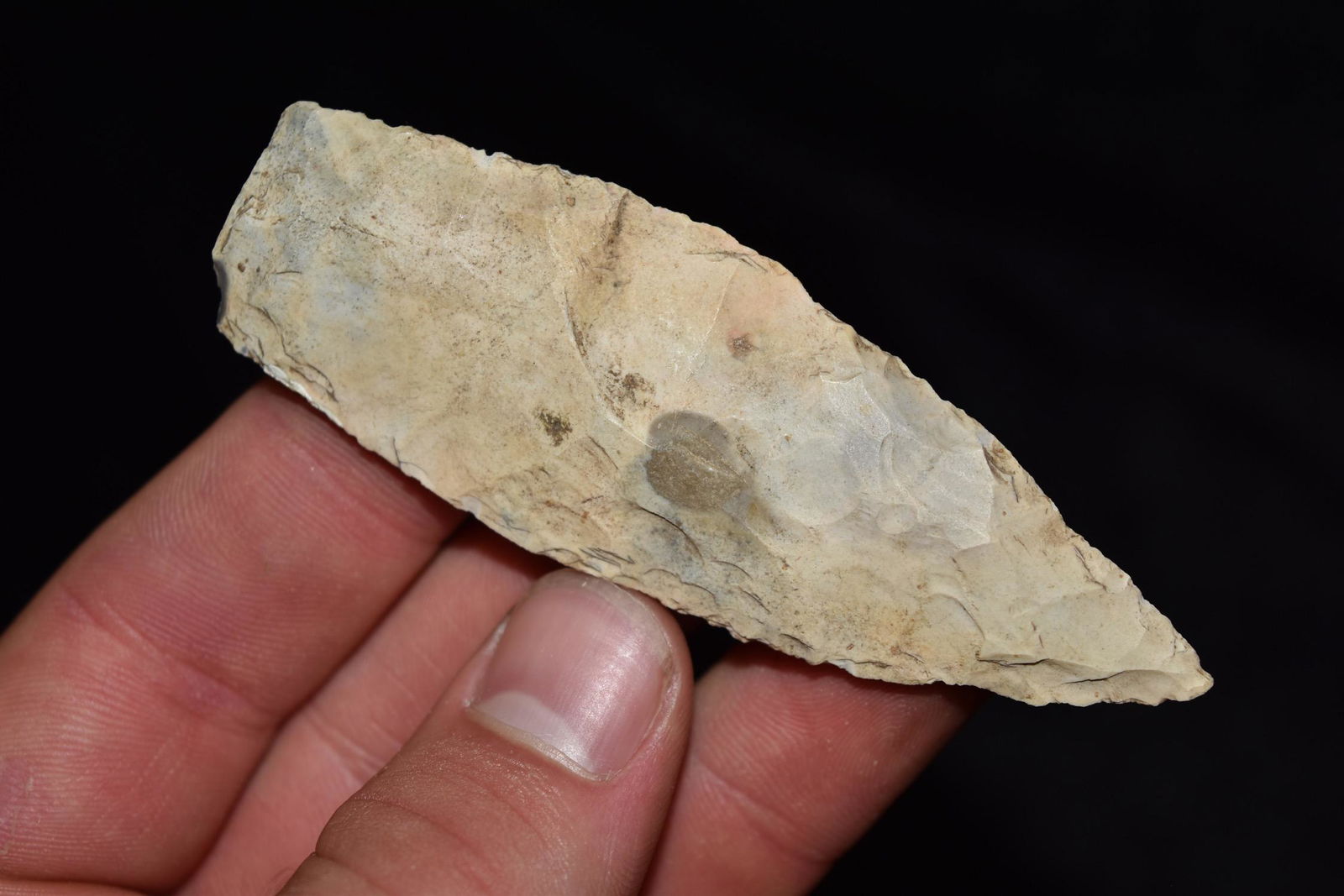 3 1/2" Sedalia, Central Missouri, Deconsessioned from a (1 of 5)