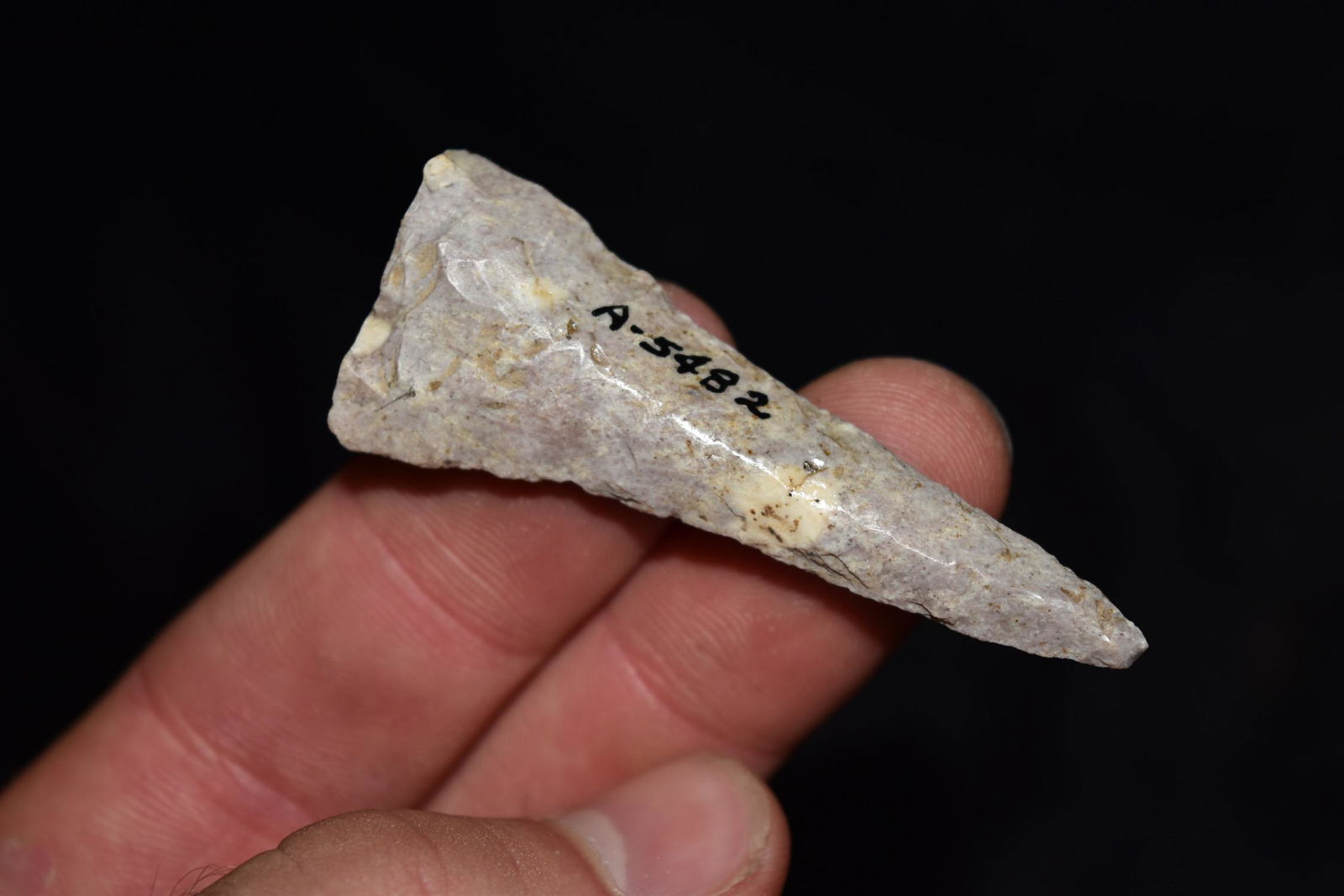 2 3/8" Dill,  Central Missouri, Deconsessioned from a (1 of 4)