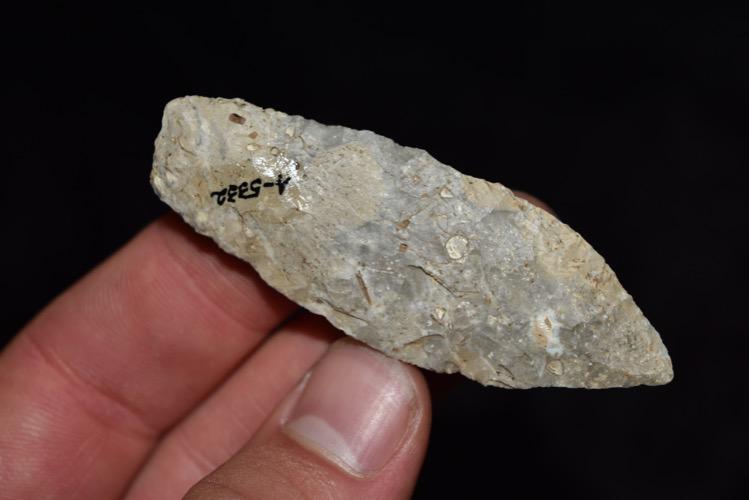 2 3/4" Early Archaic Lance,  Central Missouri, (1 of 5)