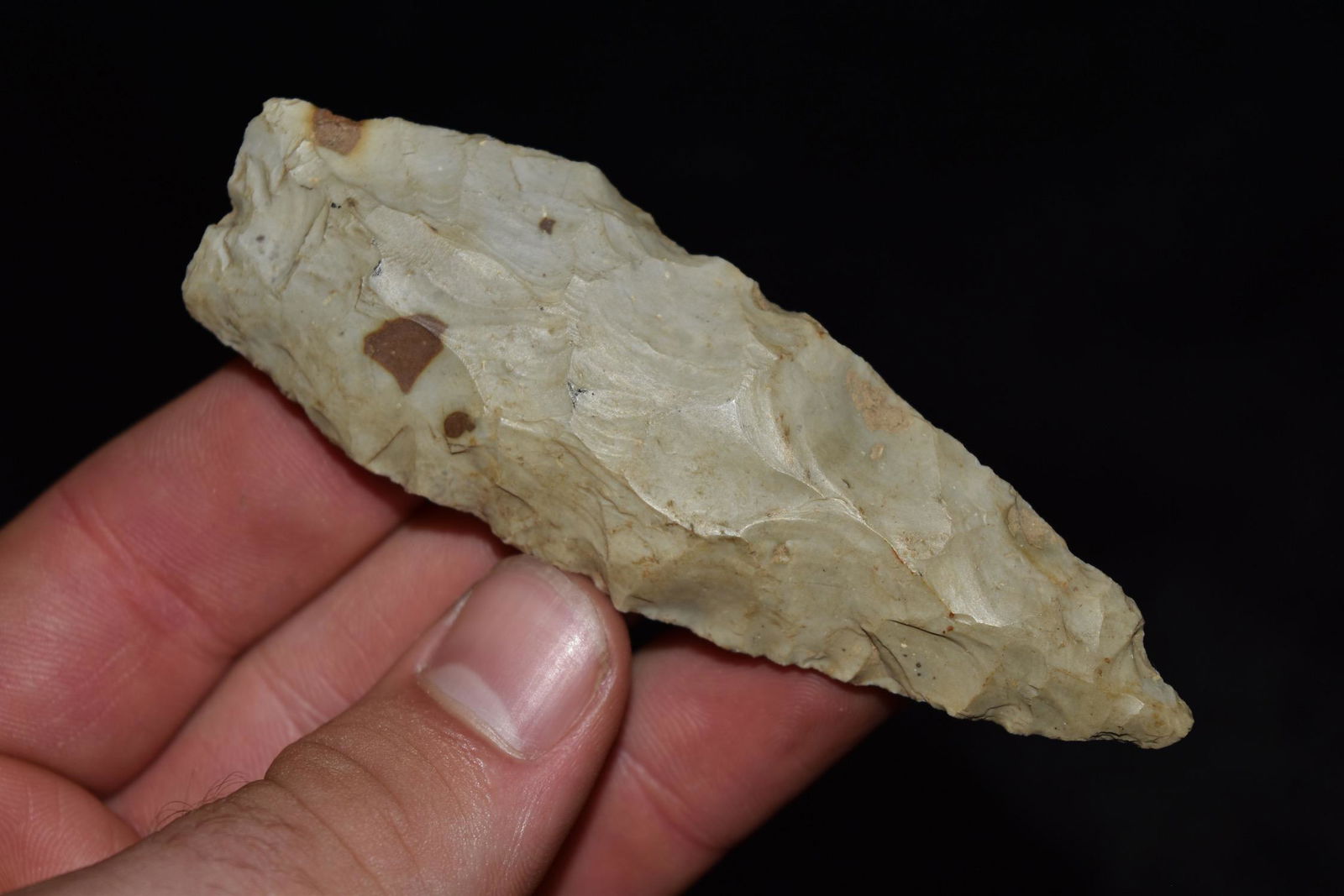 3 3/4" Sedalia, Central Missouri, Deconsessioned from a (1 of 5)