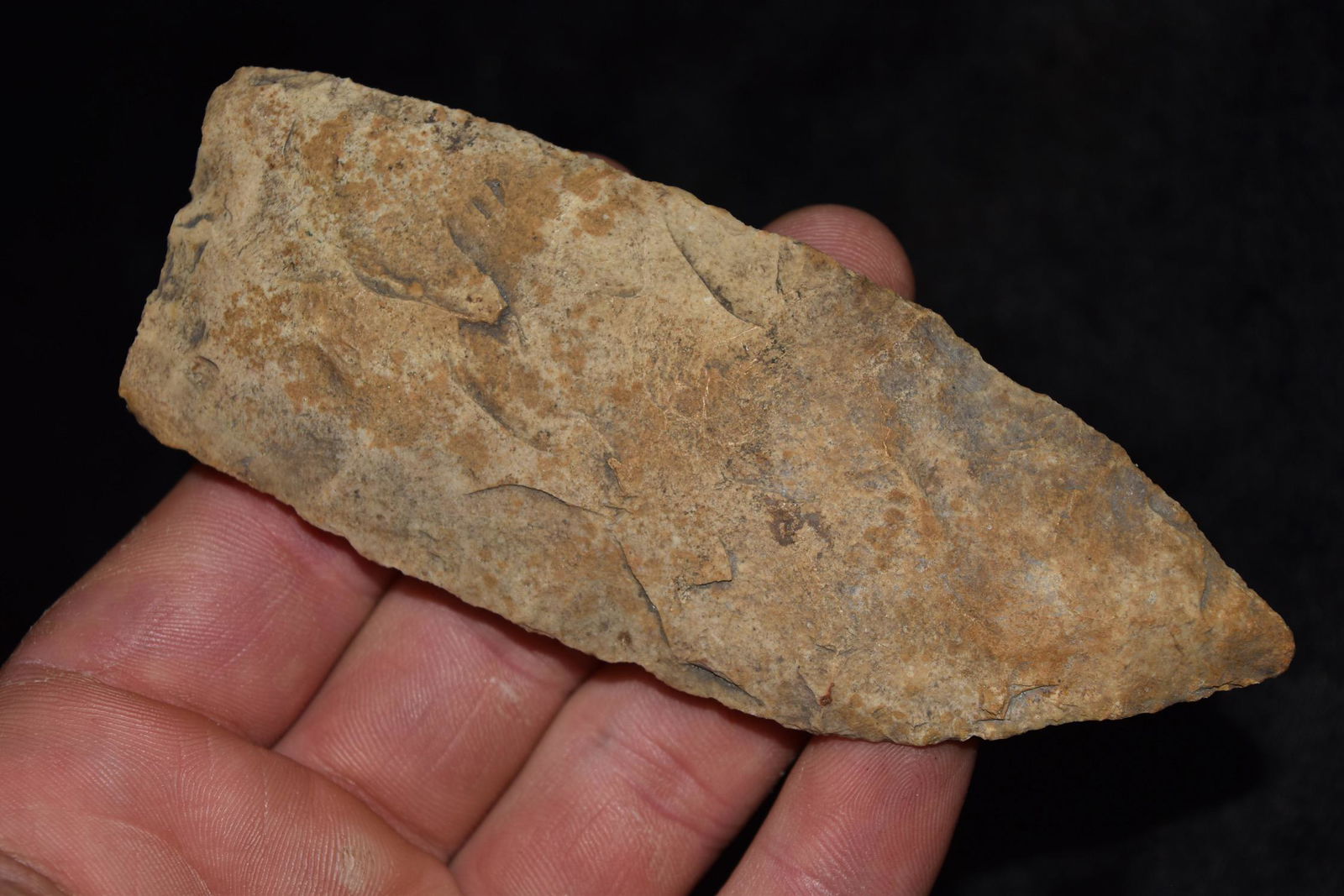 4 1/2" Wadlow, Central Missouri, Deconsessioned from a (1 of 6)