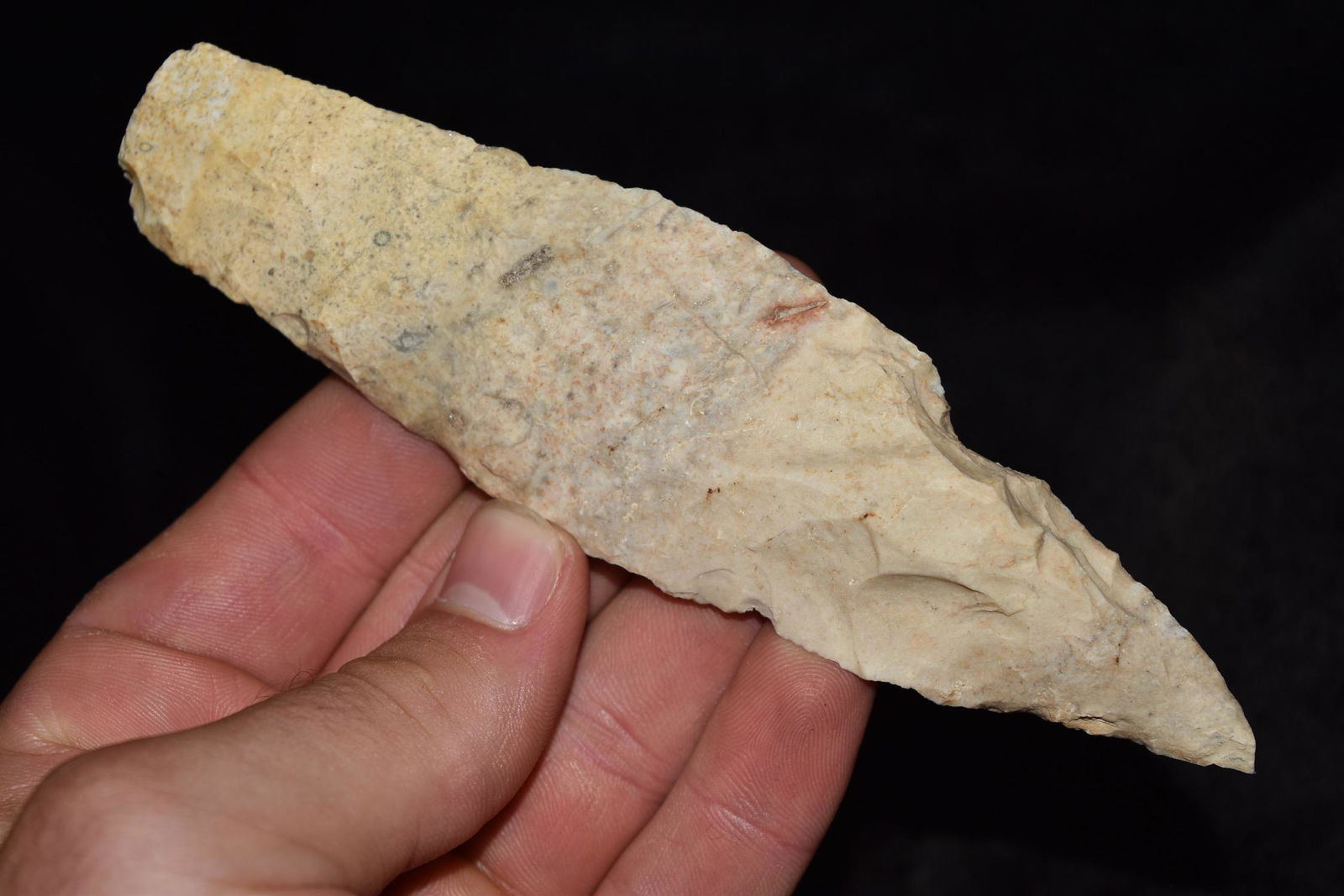 5 3/4" Sedalia, Central Missouri, Deconsessioned from a (1 of 6)