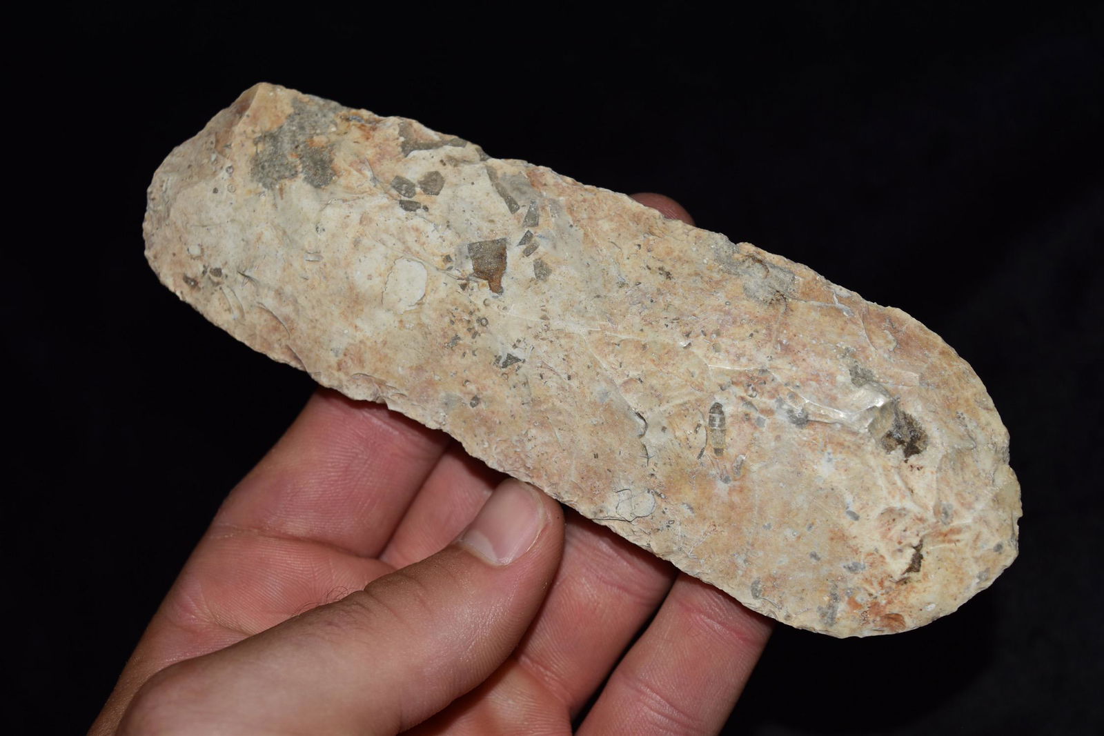 6" Sedalia Digger, Central Missouri, Deconsessioned (1 of 7)