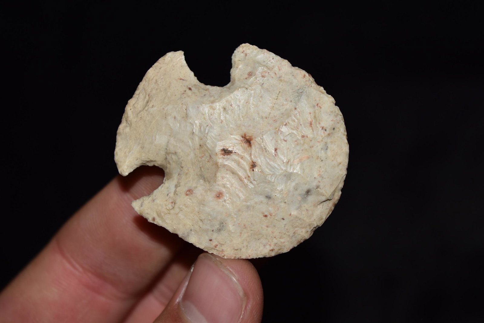 1 7/8" Gibson Blunt, Great Flaking Central Missouri,: 1 7/8" Gibson Blunt, Great Flaking Central Missouri, Deconsessioned from a Mesueum