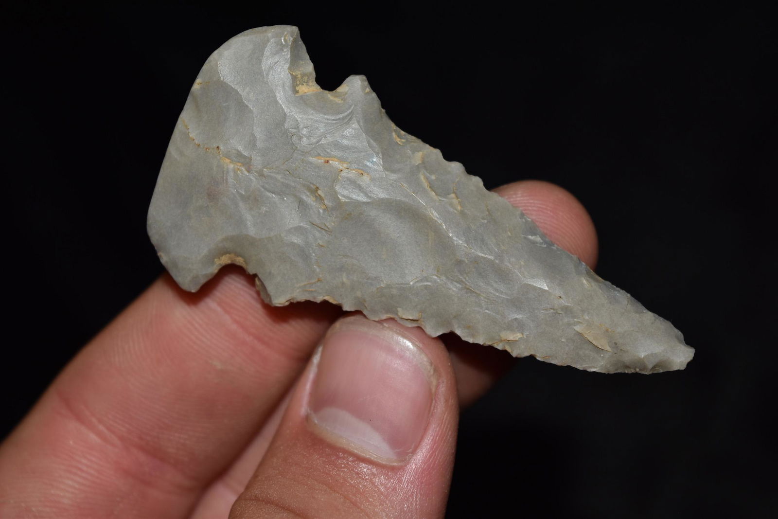 2 5/8" Dovetail, Central KY (1 of 8)