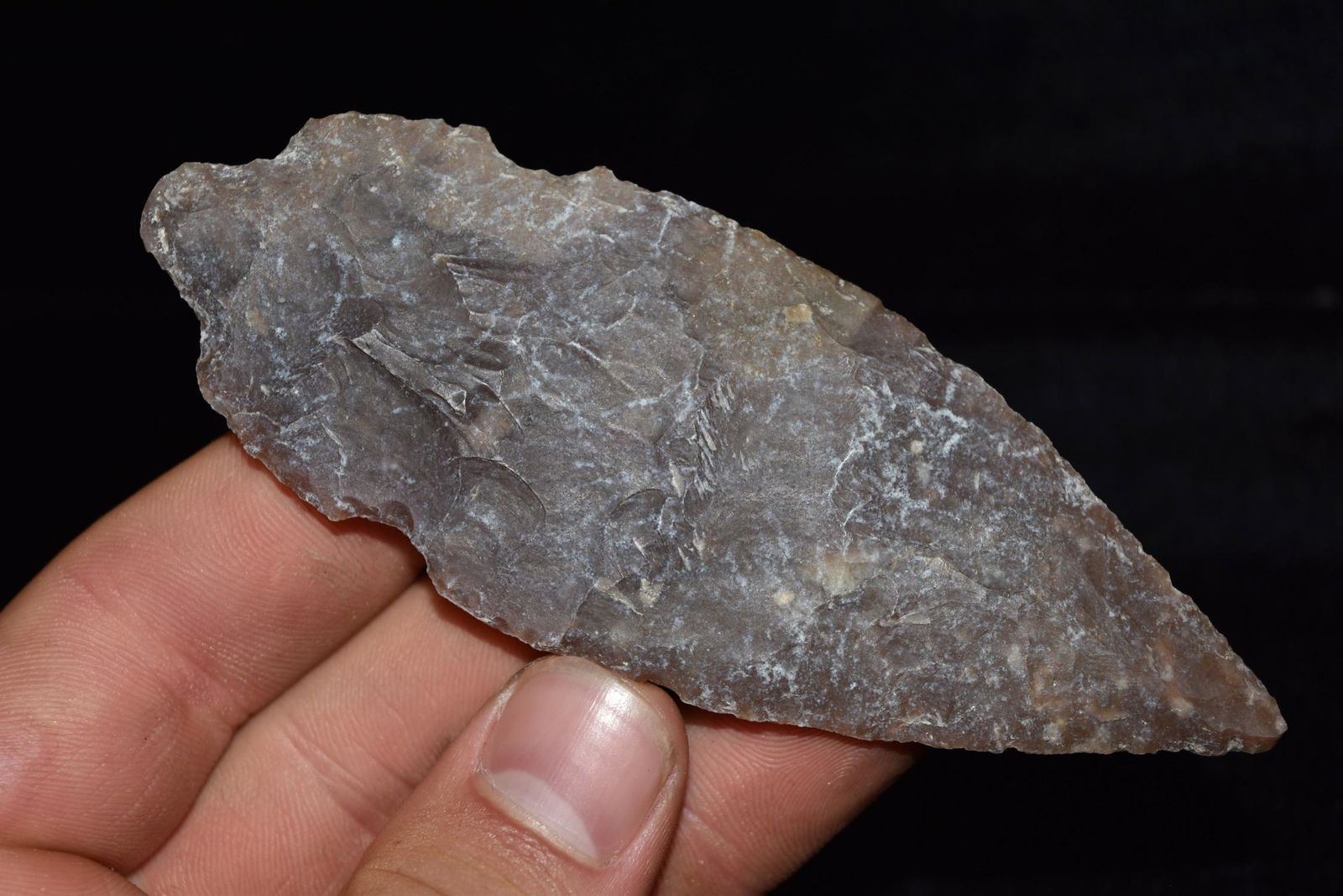 4 3/8" Mayan Double Notch Knife, Pre Columbian (1 of 8)